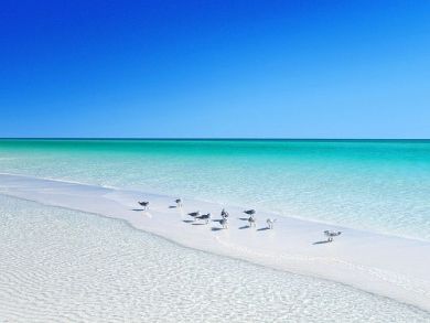 Luxury  Miramar Beach Vacation Compound
